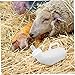 ifundom Foal Milk Bottle for Small Livestock Farm Animal Feeding Bottle Nursing Kit Lightweight and Easy to Carry