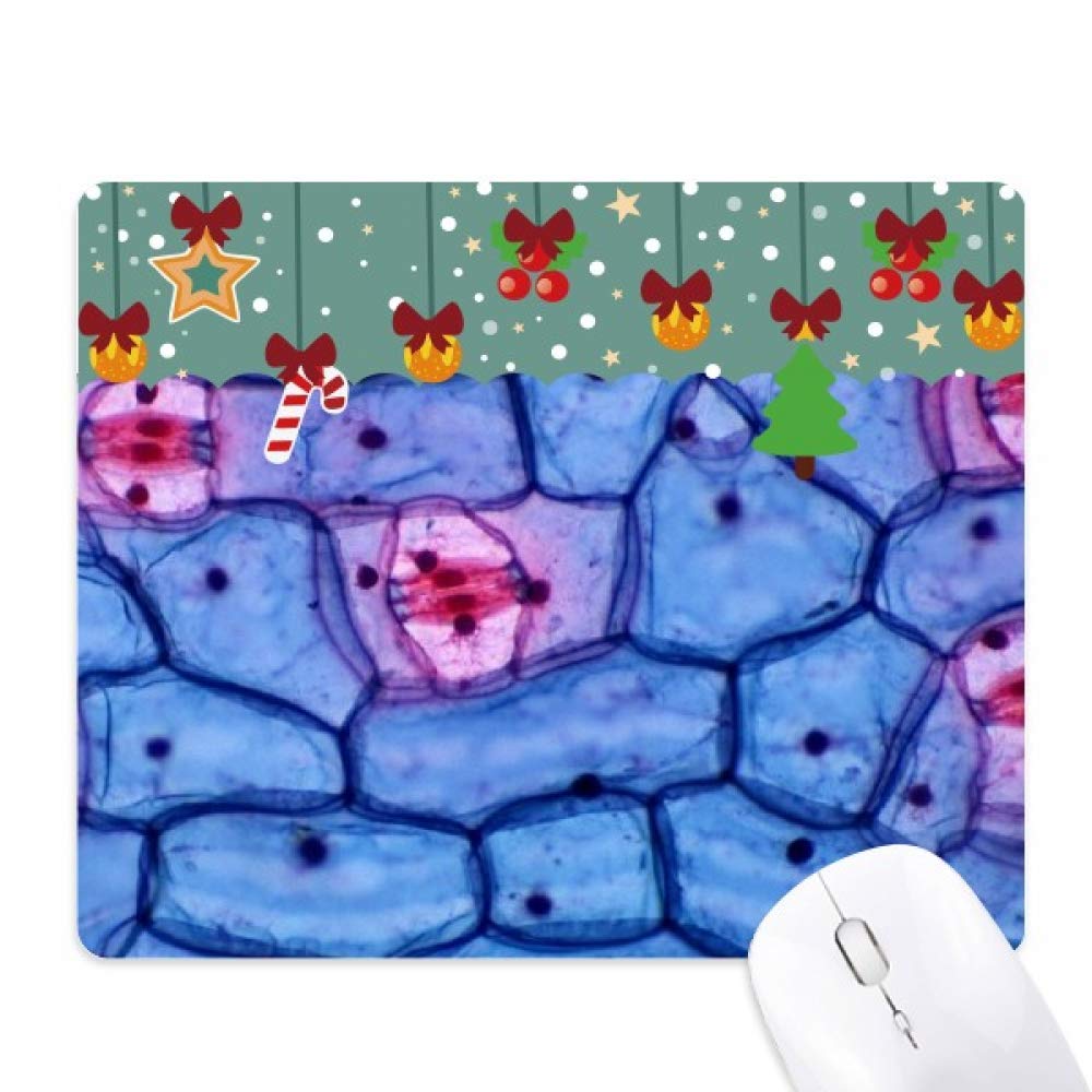 Tapis de souris en bioplast Plant Science de bureau pour Noël - 5