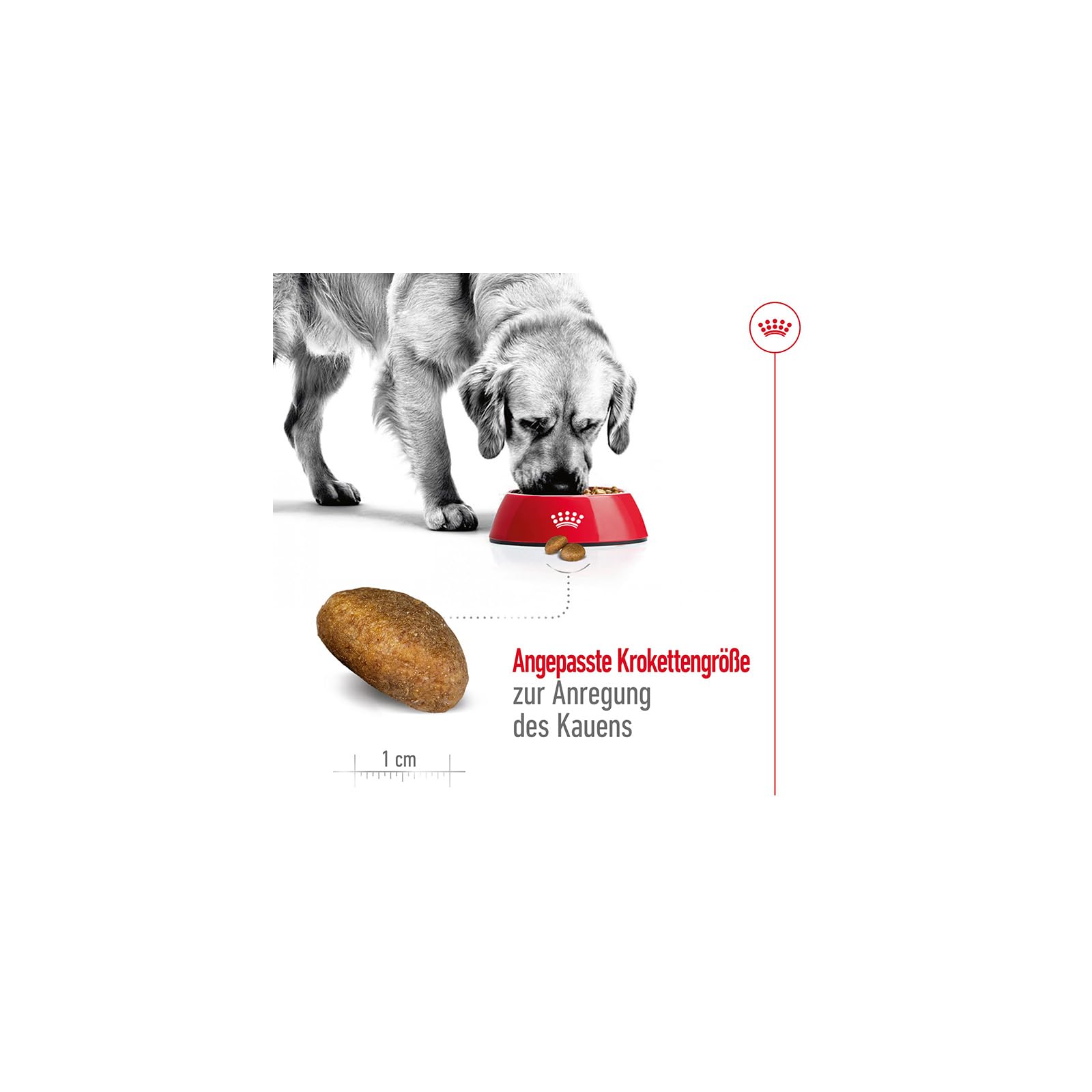 Royal Canin Maxi Adult | 12 x 410 g | pełnoporcjowa karma dla dorosłych dużych psów (26-44 kg) | bogata w składniki odżywcze i zbilansowana karma nawilżona z wysoce przyswajalnymi białkami