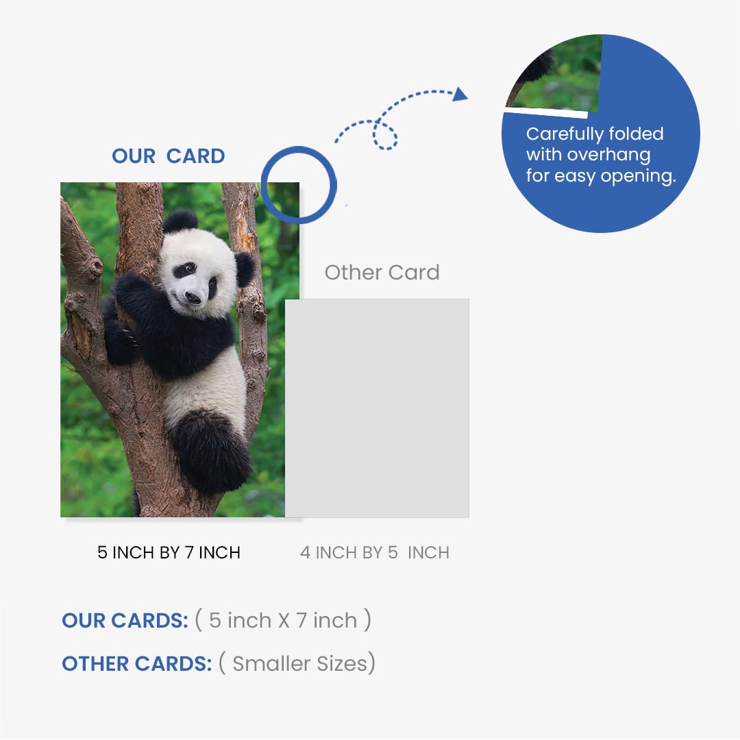 10 tarjetas de felicitación de animales surtidas para todas las ocasiones, 5 x 7 pulgadas (A7), plegadas, interior en blanco, león, caballos, cebras, delfines, pandas, koalas, osos