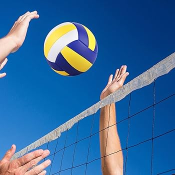 Amazon | Tadill ッショナルオフィシャルサイズ5屋内