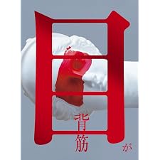 目が
