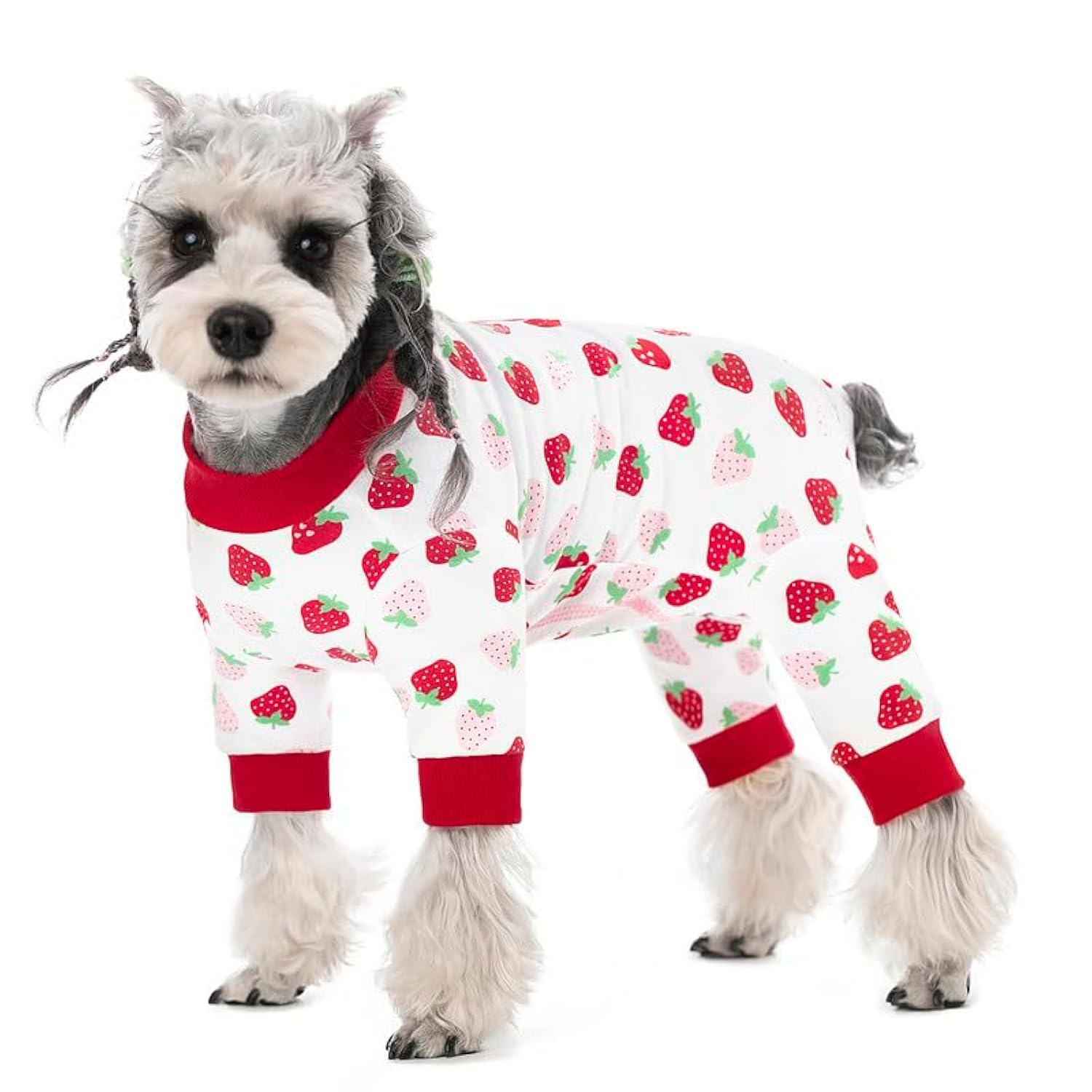 Dog Surgery Recovery Suit for Small Dogs, Four-Leg Long Sleeve