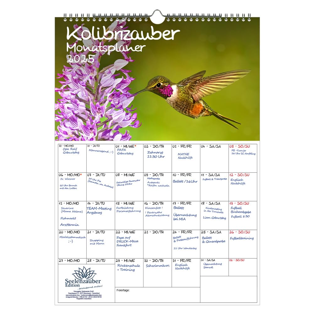 Planificador de hechizos de colibrí, tamaño DIN A3, para 2025, diseño de colibrí Seelenzauber