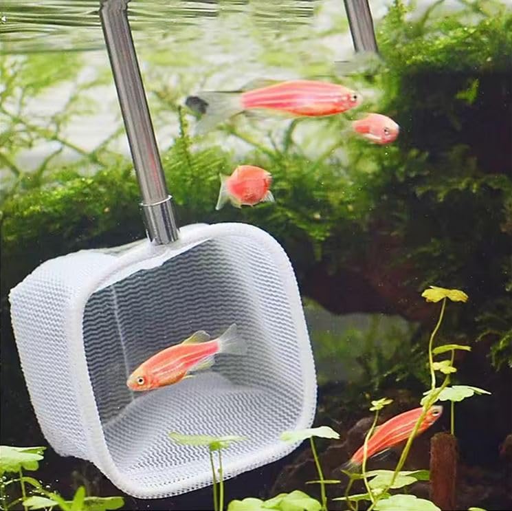 Colourful - Mini Stainless Steel Adjustable Mesh Net for Shrimp and Fish Aquarium | Extendable Long Handle Small Fish Catcher (Square, Adjustable, Small) (B0D35SNPPP) Amazon Price History, Amazon Price Tracker