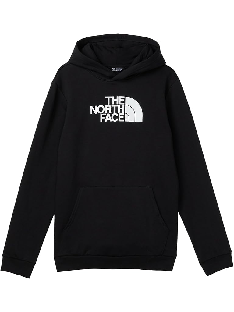 Black The North Face Evolution Half Dome Pullover Hoodie (Little Kid/Big Kid)