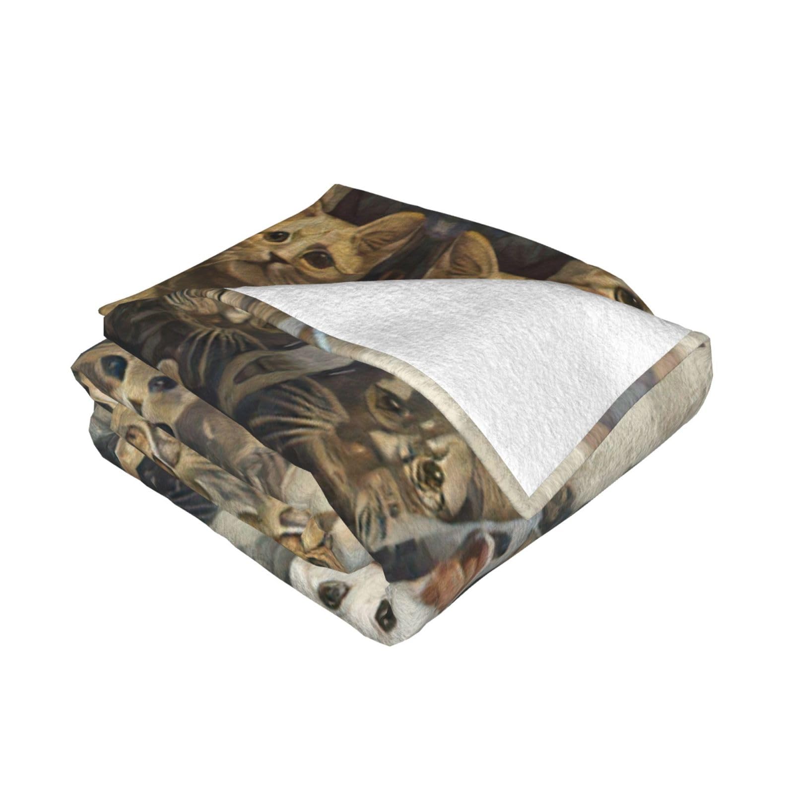Manta de gato para sofá, cama, tamaño Queen, suave, ligera, afelpada, cálida y acogedora, manta de lujo