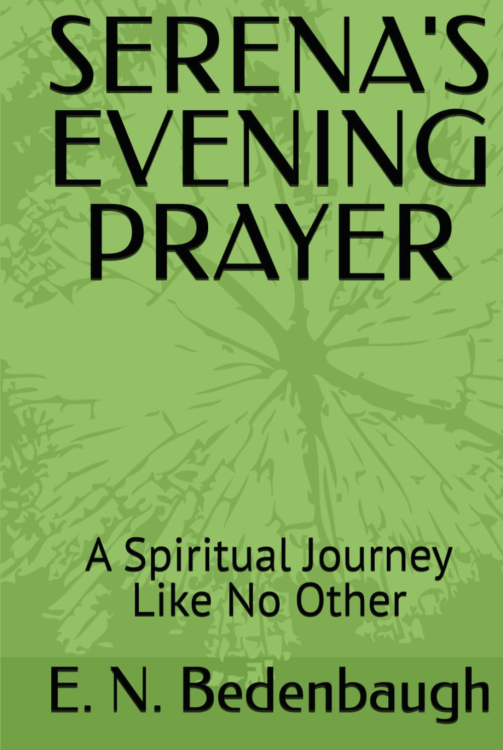 SERENA'S EVENING PRAYER: A Spiritual Journey Like No Other (TIME'S EMBRACE)