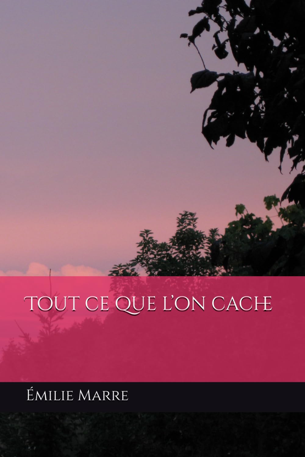 Tout ce que l’on cache