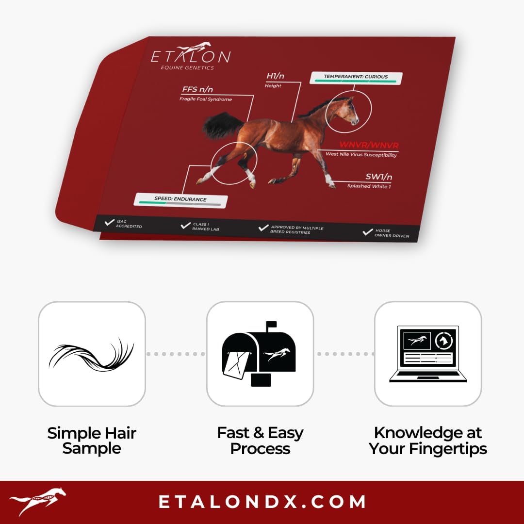 Etalon Equine Genetics Pro Package + Ancestry Horse DNA Test, Genetic Testing Plus Ancestry (70+ Traits) - Identify Equine Breed Composition & DNA - Test for Coat Color, Diseases, Abilities