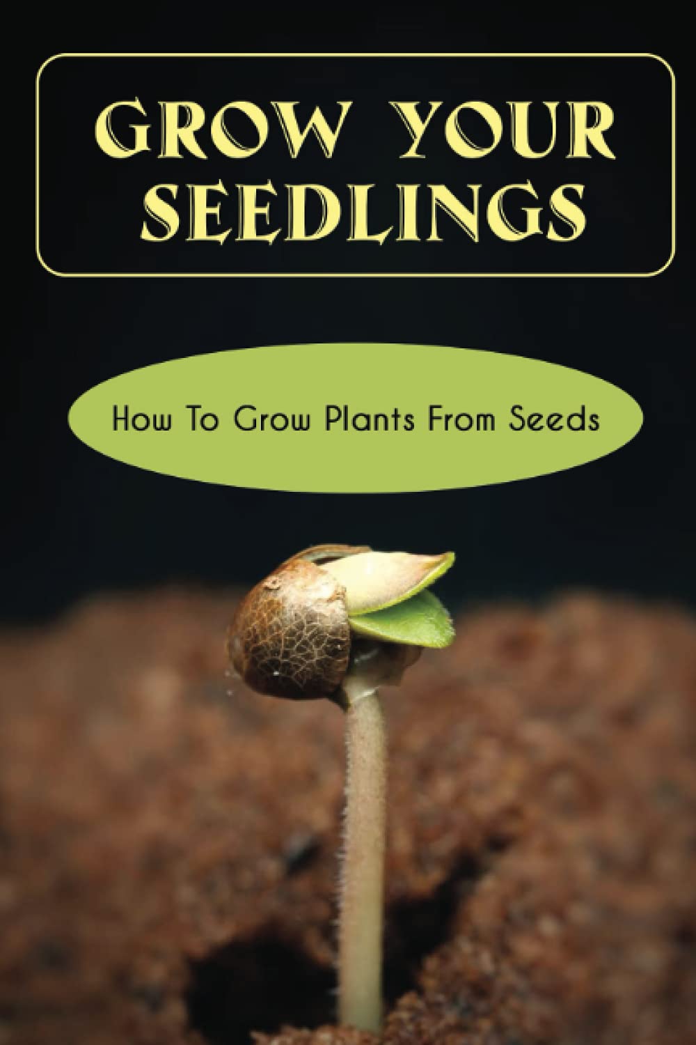 Grоw Уоur Ѕееdlіngѕ: How To Grow Plants From Seeds: Supplies To Grow From Seed