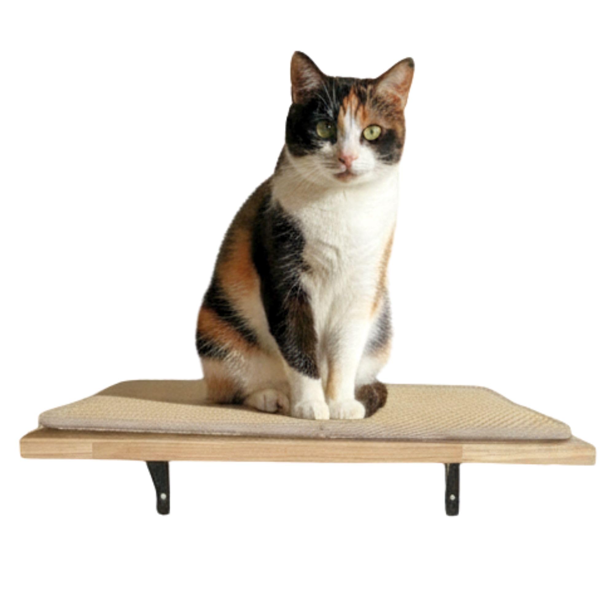Estantería para Gatos Interior Ancla Mural con Plataforma de Descanso y Rascador de Sisal Antideslizante | Madera de Caucho Sostenible para Pared
