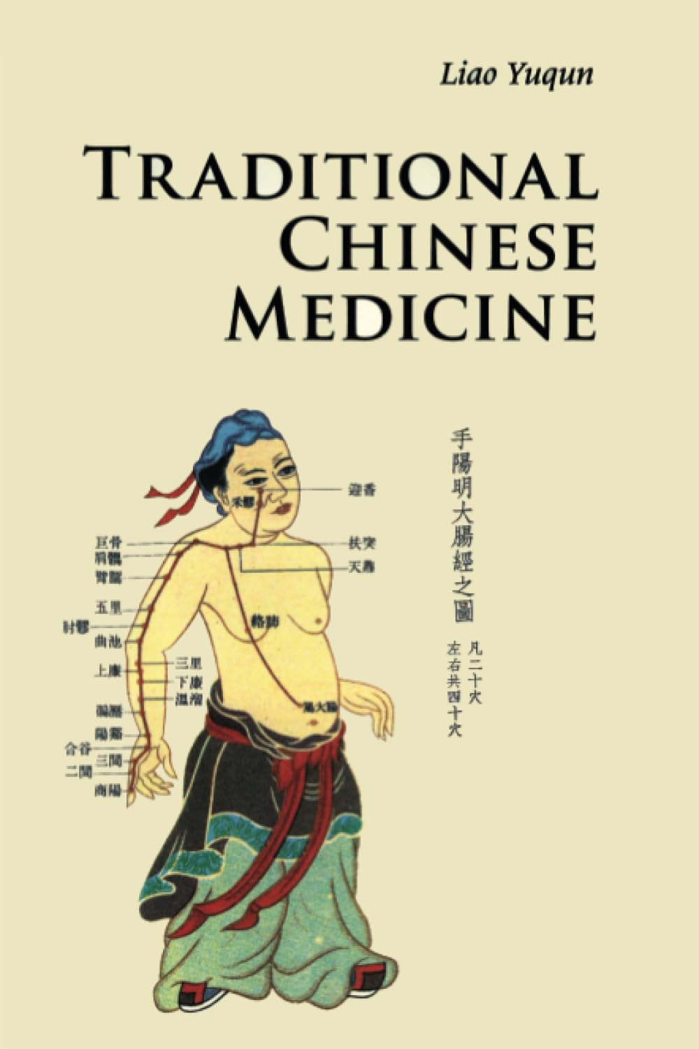 Traditional Chinese Medicine Paperback – Big Book, 25 August 2011