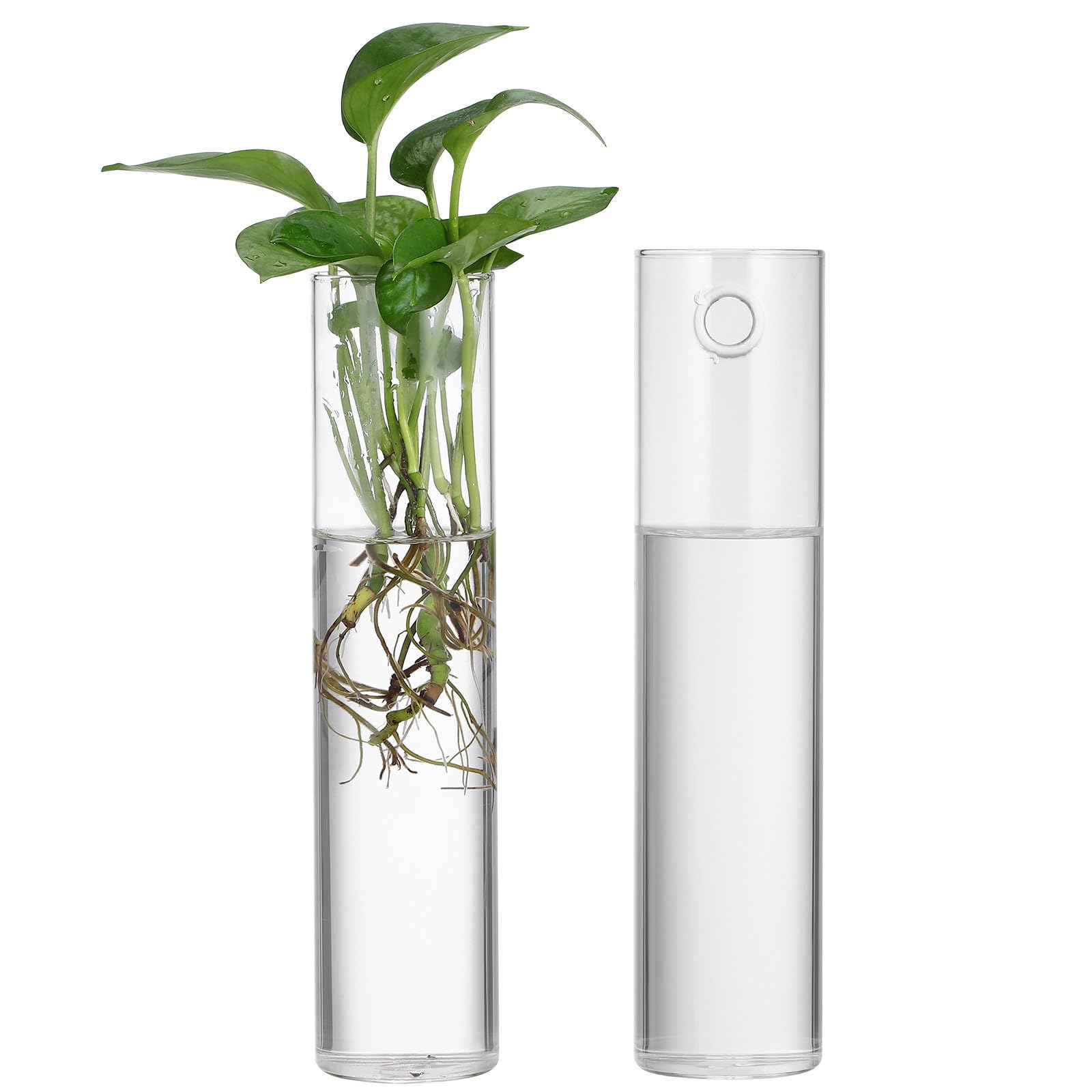 Vases suspendus en verre cylindriques décoratifs de qualité supérieure pour plantes
