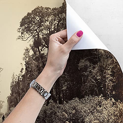 Papier Peint Auto-Adhésif Route Forestière pour Rénover un Mur sans Colle - 4