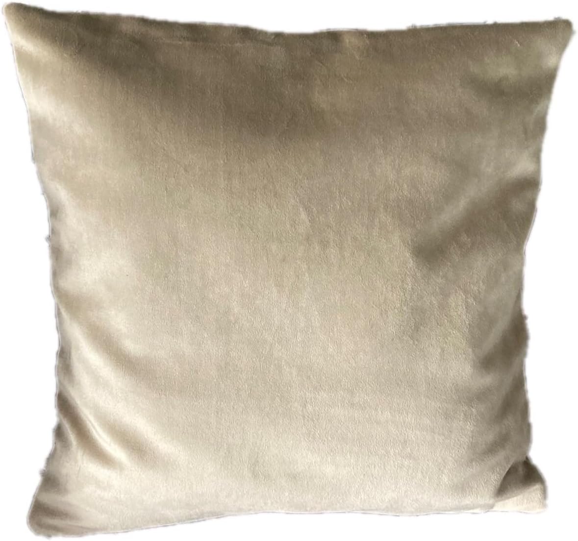 Decorative Chic Throw Pillow with Insert (Cat VLP026)