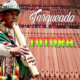 Tarqueada Totora