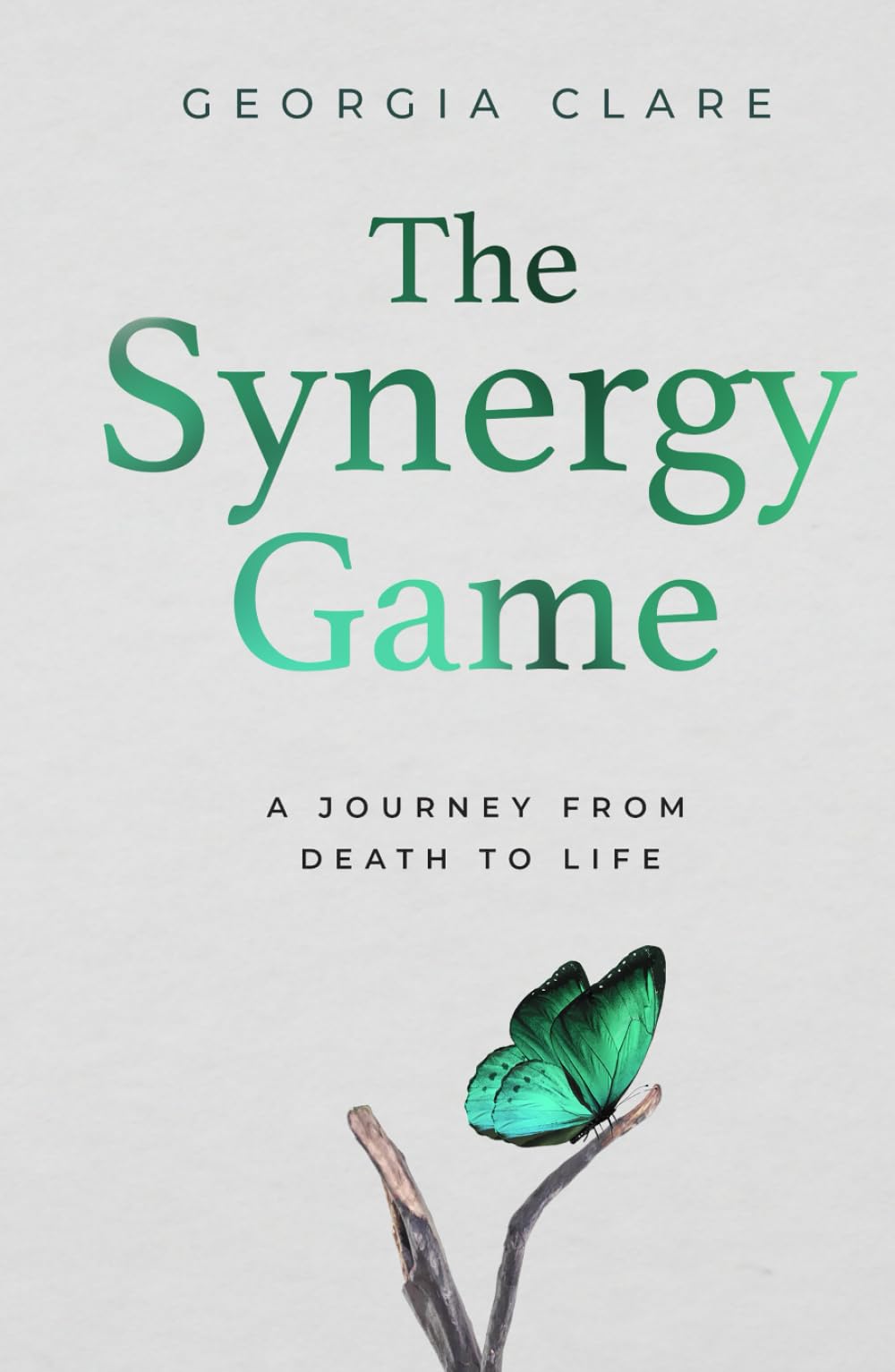 The Synergy Game: A Journey from death to life, of rebuilding after betrayal, grief, and starting over