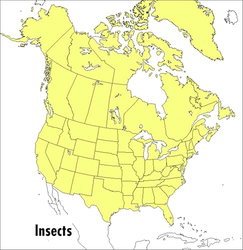A Peterson Field Guide To Insects: America North of Mexico (Peterson Field Guides)
