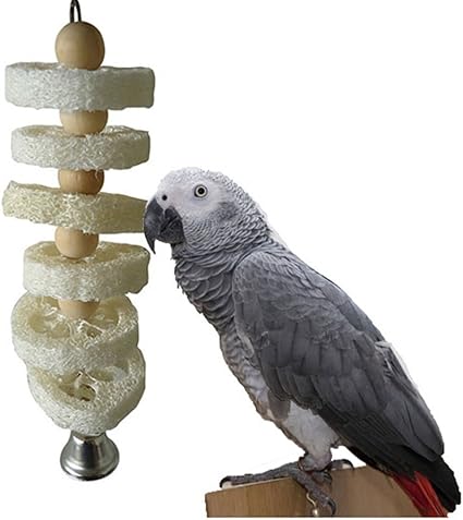 parakeet bird supplies