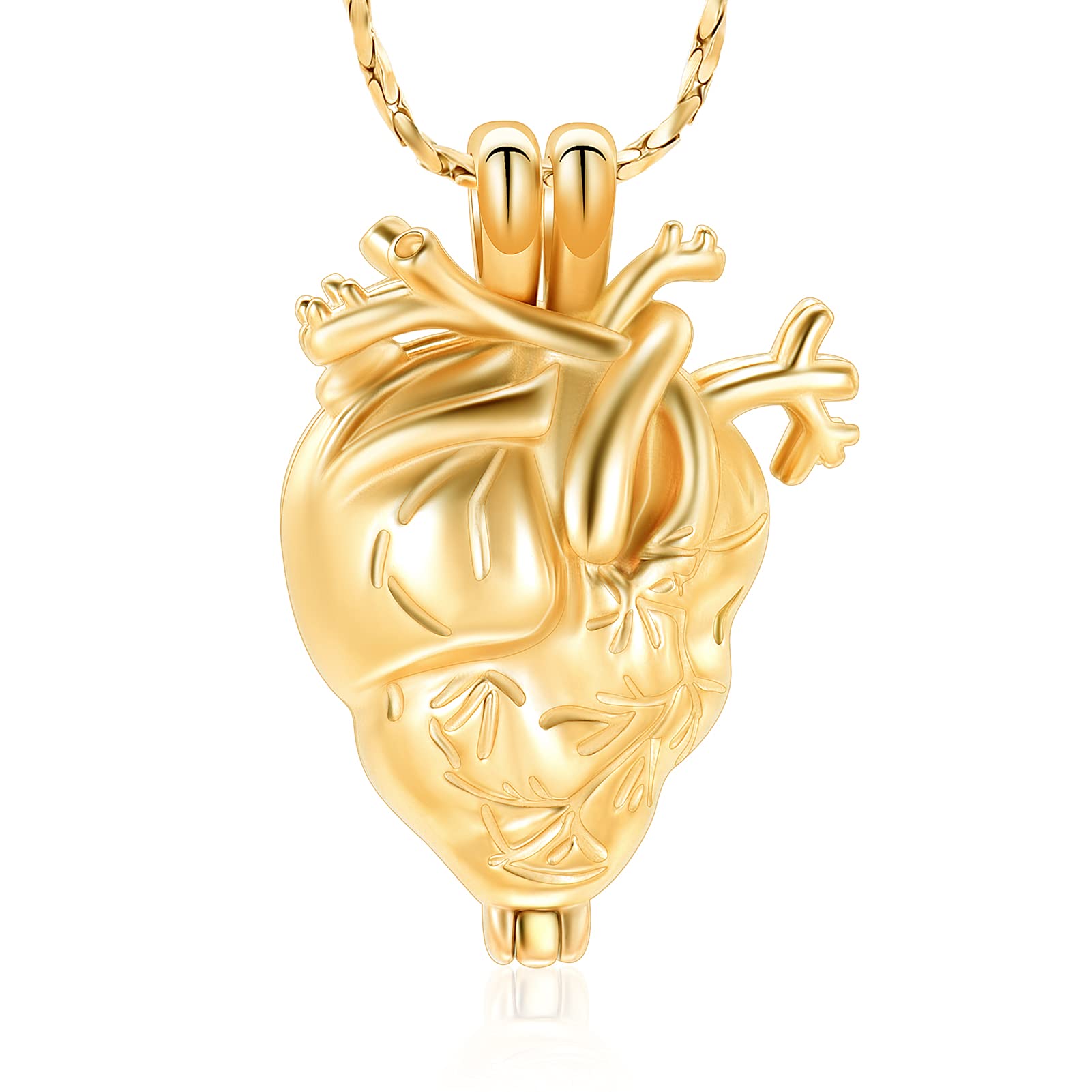 Imrsanl Cremation Jewelry Pendant Necklace for Ashes Holder - Anatomical Heart Urn Necklace for Ashes - Cremation Keepsake Memorial Lockets