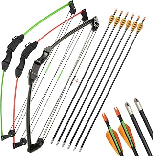 Youth Compound Bow and Arrow Set 12lbs Archery Compound Bow Kit Junior Practice Training Bow Including 6 Fiberglass Arrows
