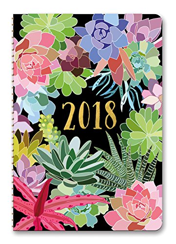 Orange Circle Studio 2018 On-Time Weekly Planner, Aug. 2017 - Dec. 2018, Succulents