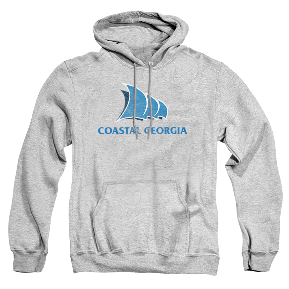 LOGOVISION Official Collegiate Distressed Primary Logo Adult Pullover Hoodie Collection — view 374