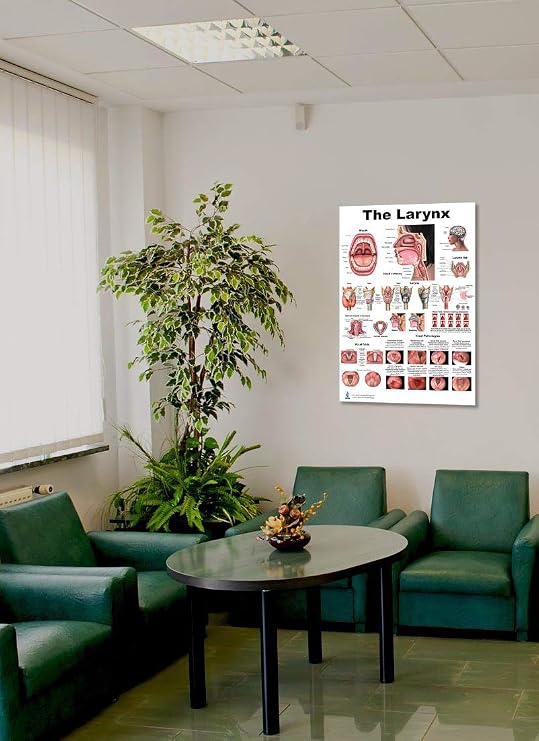 Blue Tree Publishing Larynx Poster 24x36 Human Vocal Cord & Throat Anatomy Chart for Speech-Language Pathologists, ENT Clinics, Singing Teachers & Medical Education
