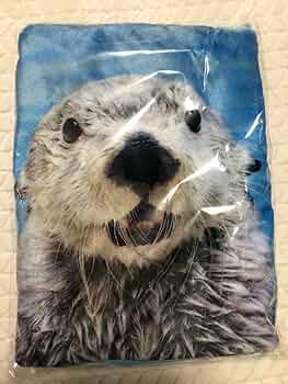 61LNeTRN-fL._AC_UF350,