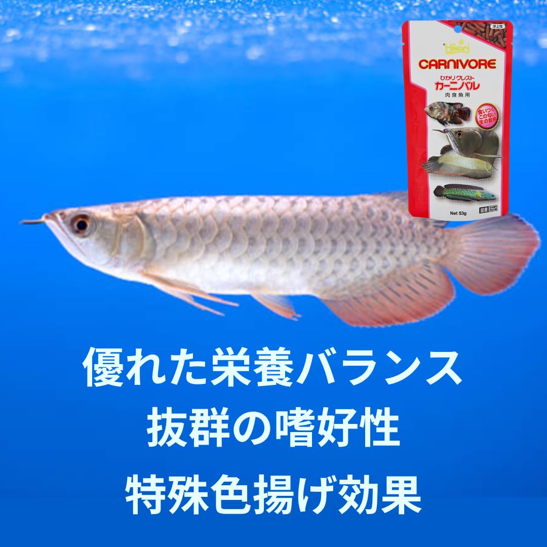 Amazon | 【1個】ひかりクレストカーニバル 53g 大型肉食魚専用飼料