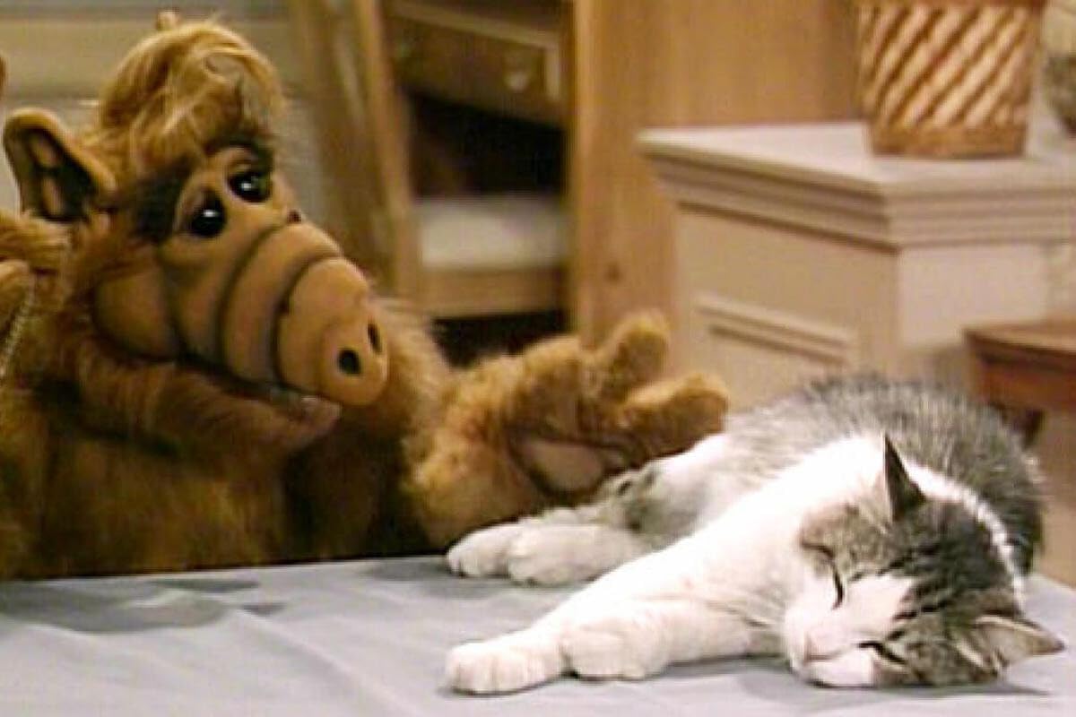 ALF - L'intégrale de la série : 4 Saisons [DVD]