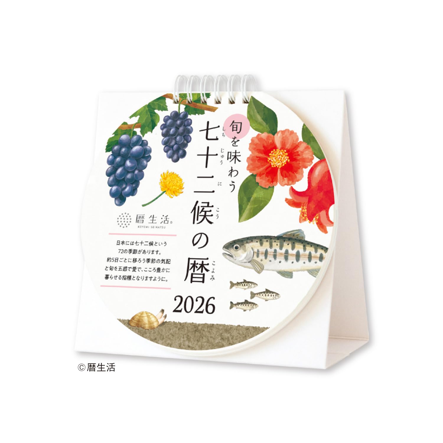 Amazon.co.jp: Shin Nippon NK8961 2026 Calendar, Weekly Calendar