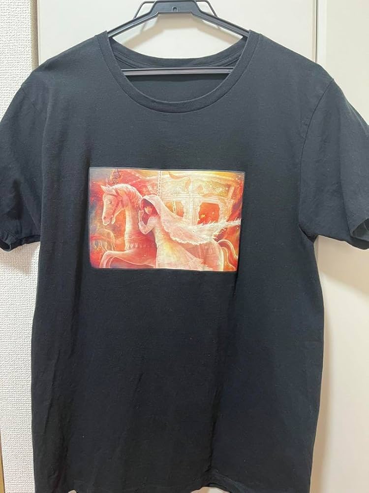 Amazon.co.jp: 大森靖子 ZOC Tシャツ 青柳カヲル グッズ : おもちゃ