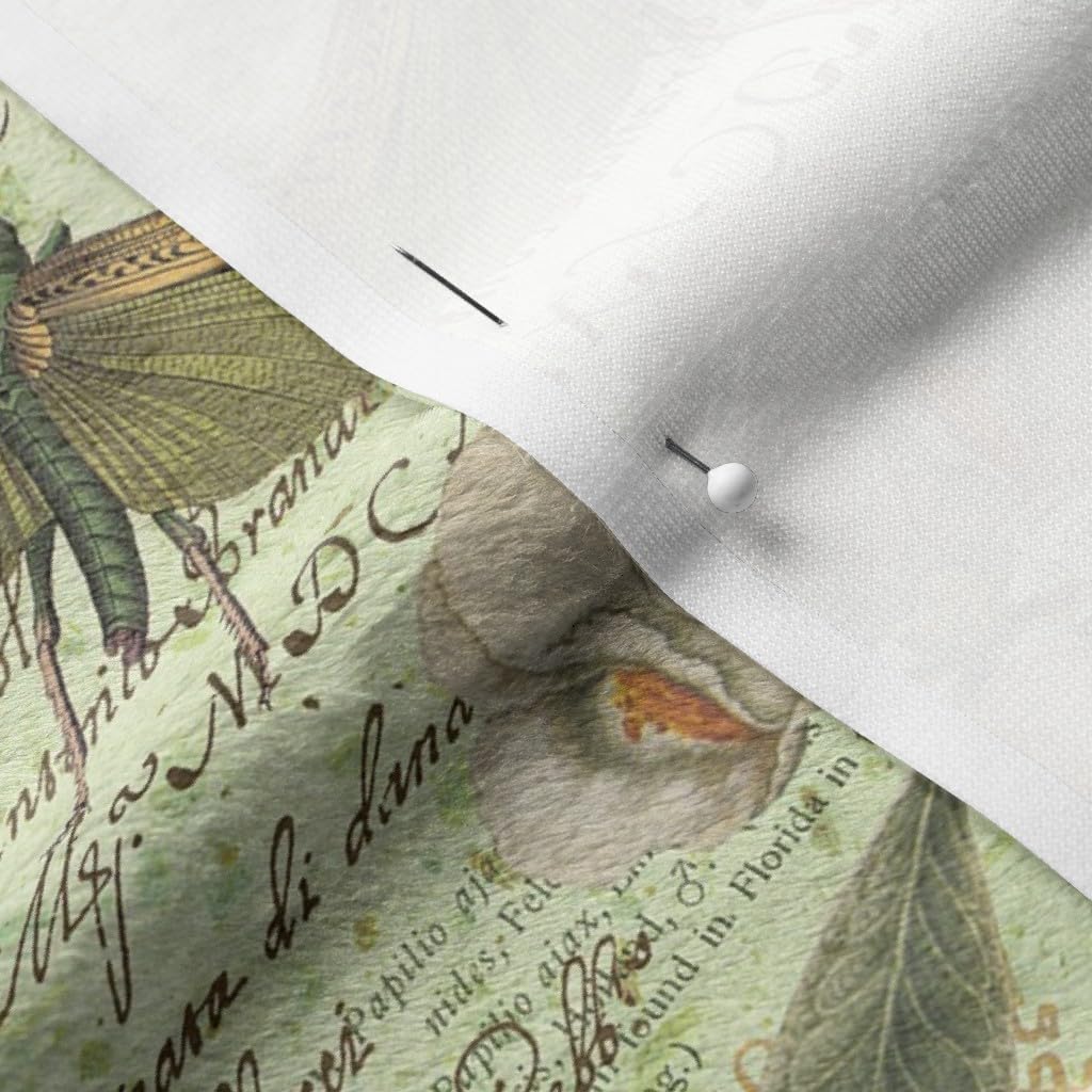 Spoonflower Fabric - Botanical Print Printed on Minky Fabric by The Yard - Sewing Baby Blankets Quilt Backing Plush