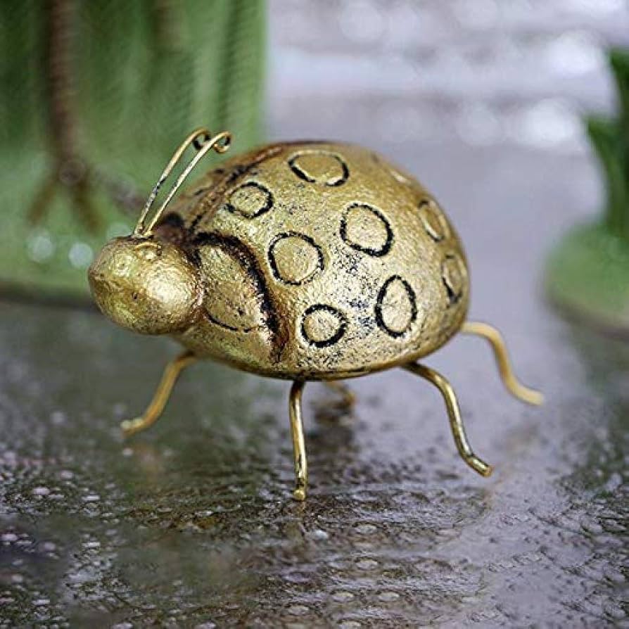 61LNuRGlr6L._AC_UF894,