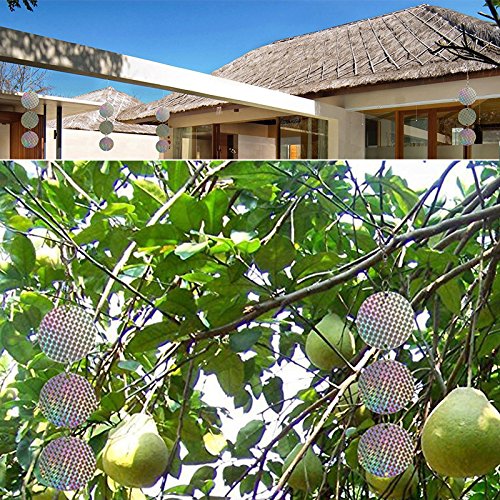 KINGLAKE 8 pz per uccelli riflettente dischi