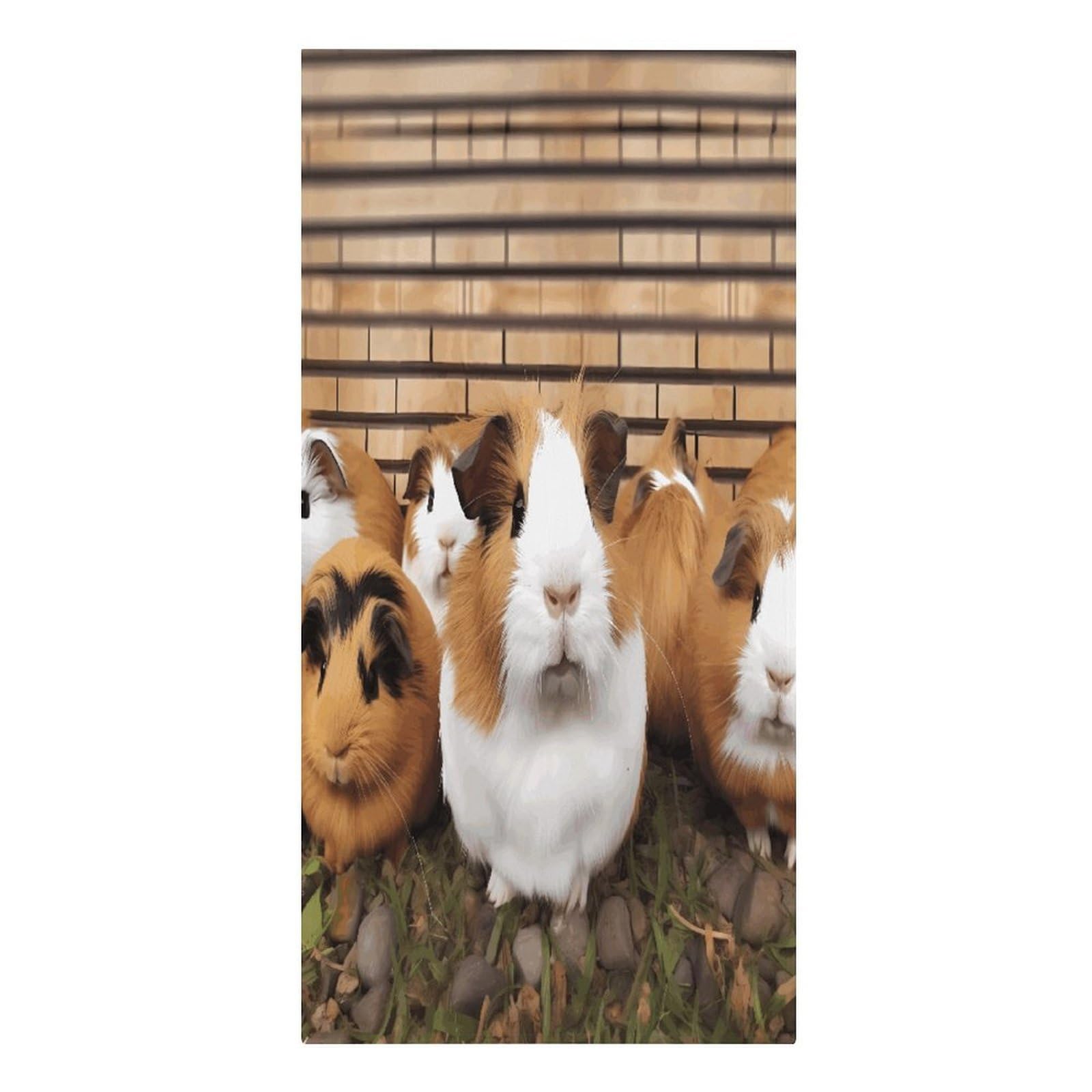 FekiLoot Guinea Pigs Beach Towels Super Absorbent Bath Towel Oversized Microfiber Towel Soft Beach Blanket Fashon Quick Dry Travel Towels for Beach Bathroom Pool Adult 30" X 61"