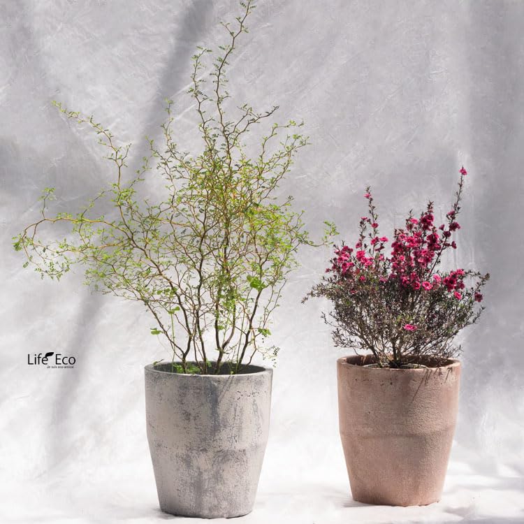 Amazon | 植木鉢 ファイバーセメント製 スクーロ トール アンティーク