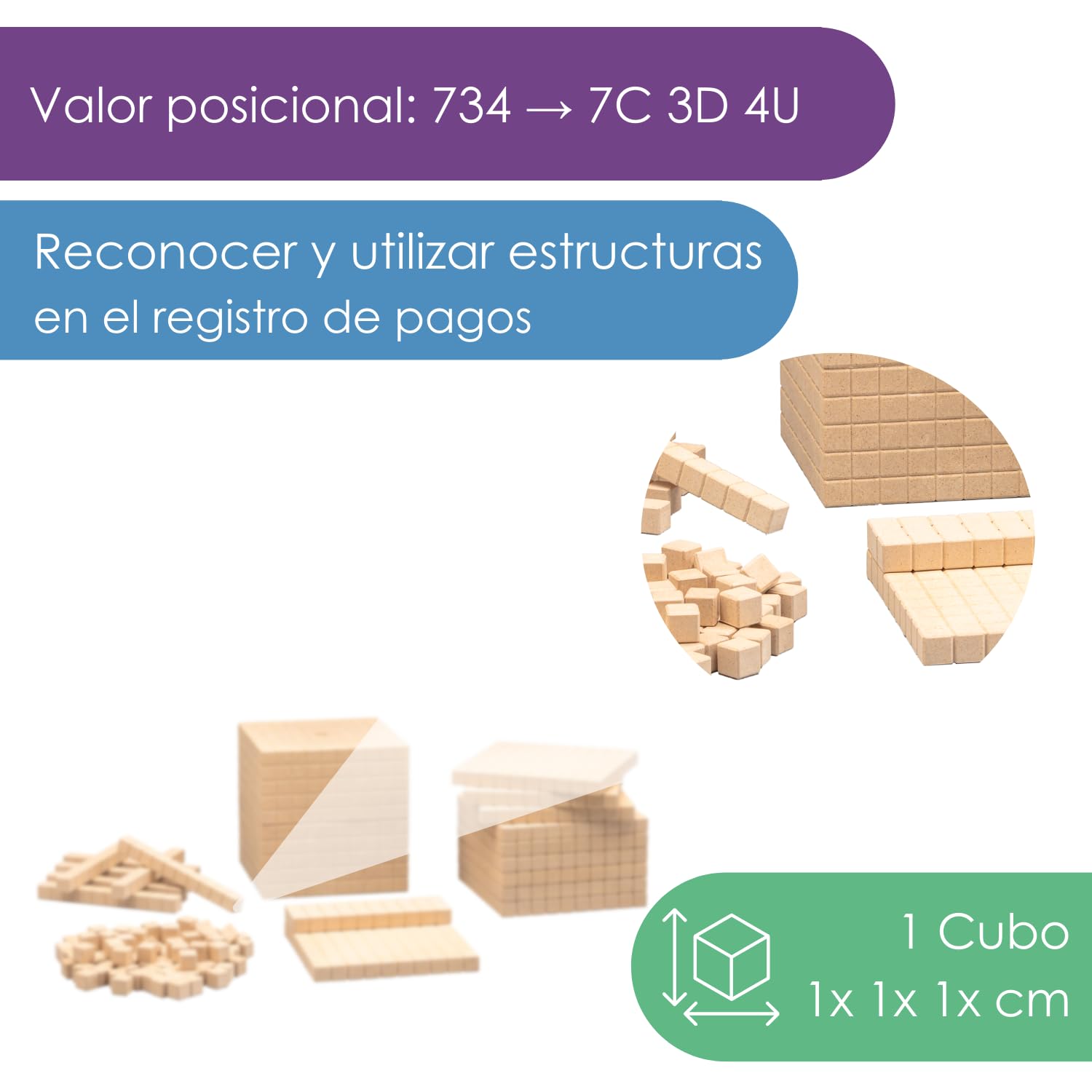 WISSNER R39579.000 decimales dados matemáticas cuadras cubos Rake de 21 Calidad de las Escuelas, 28 x 11 x 11 cm