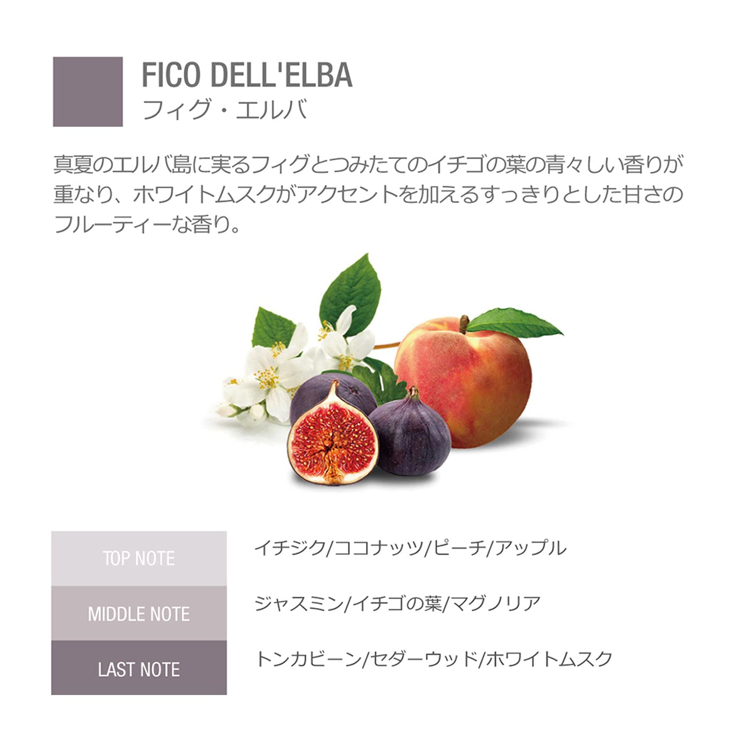 Amazon.co.jp: SALIMBENI(サリンベーニ) リードディフューザー 100ml