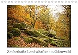 Zauberhafte Landschaften im Odenwald (Tischkalender 2019 DIN A5 quer) - Eileen Kumpf