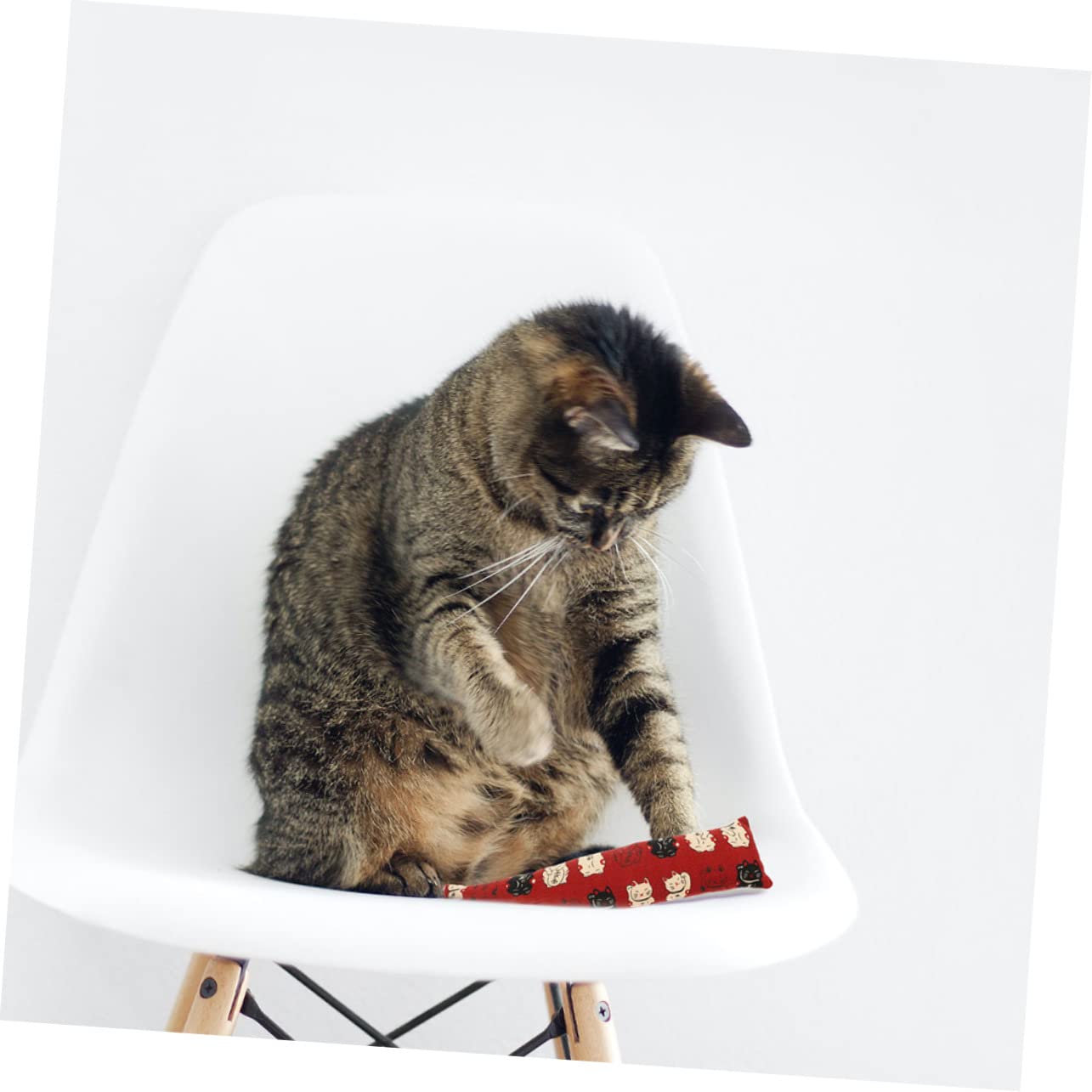 9stücke Katzenminze Kissen Spielzeug Interaktives Katzenspielzeug Für Drinnen Kauen Kratzen Und Spielen Organisches Katzenminzspielzeug Für Aktive Katzen
