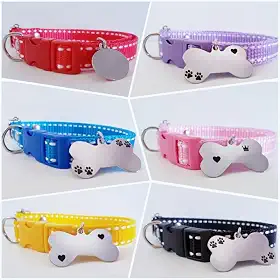 Coleira Para Cães Com Plaquinha de Identificação Personalizada (Azul Pontilhada-G (Plaquinha Ossinho))