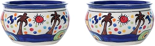 CIEARO VINTAGE Juego de cuencos florales de cerámica para verduras, cuenco de postre, cuenco de sopacuenco de helado (paquete de 2) (azul)