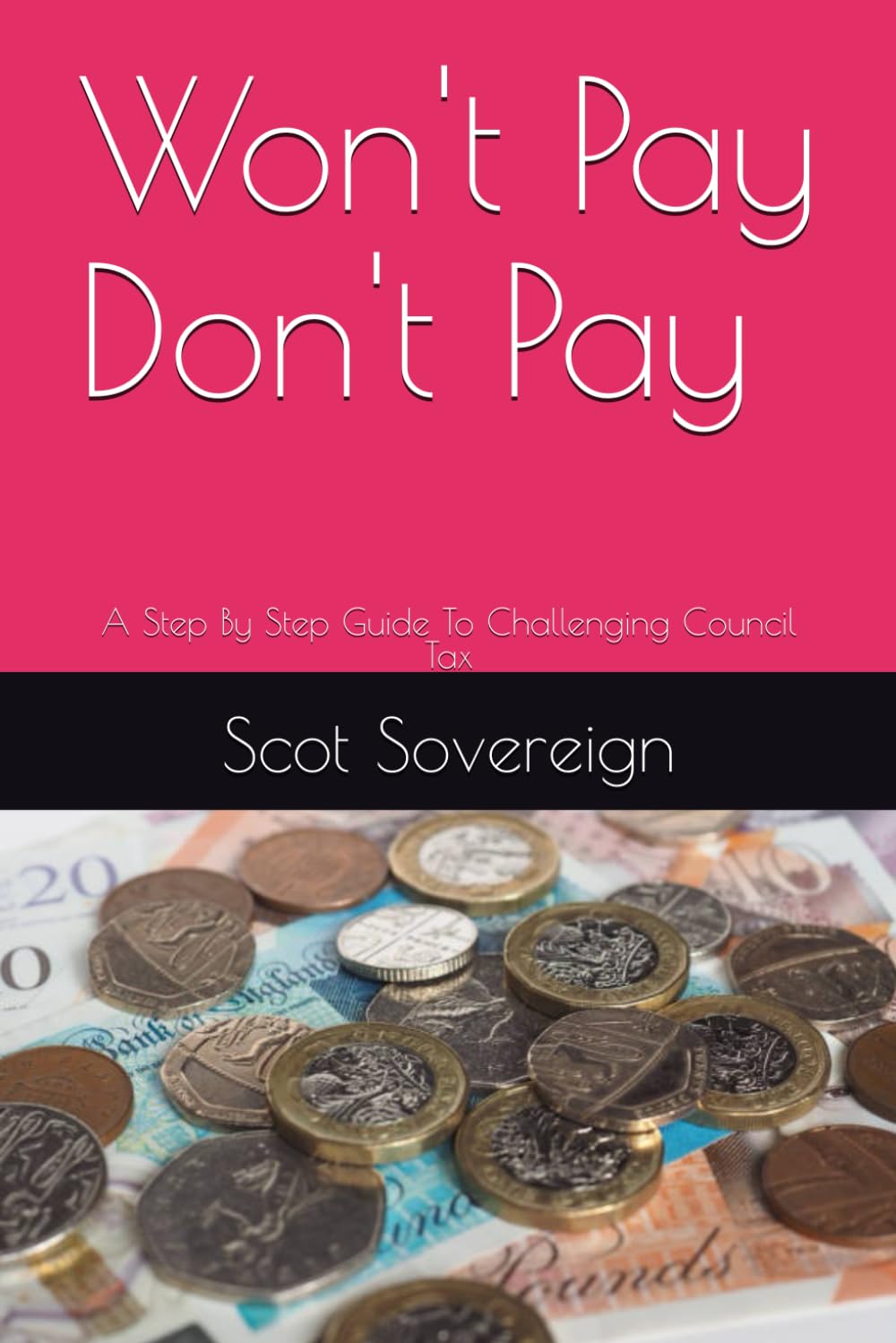 Won't Pay Don't Pay: A Step By Step Guide To Challenging Council Tax