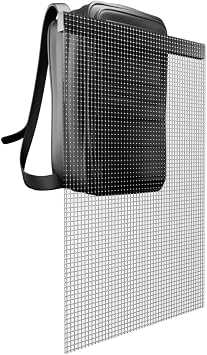 Backpage LED Screen