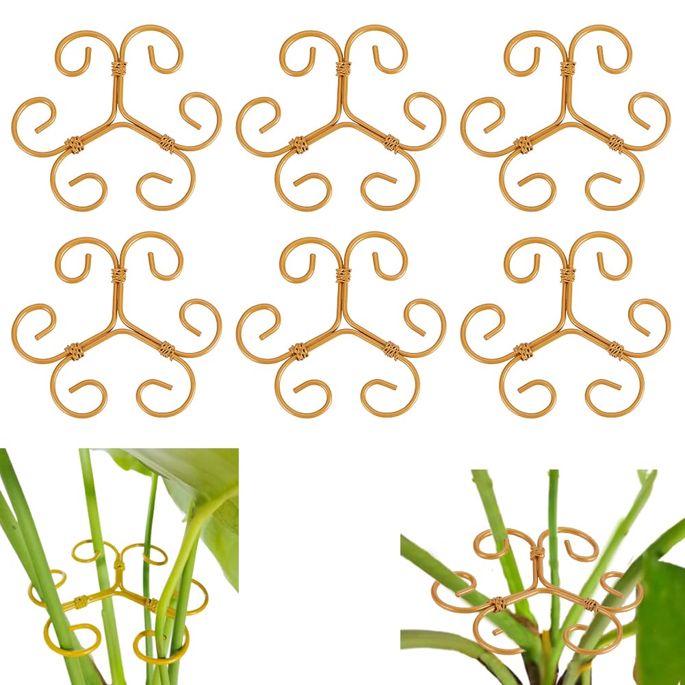Support pour grappin de plantes pour redresser les tiges cassantes et lourdes