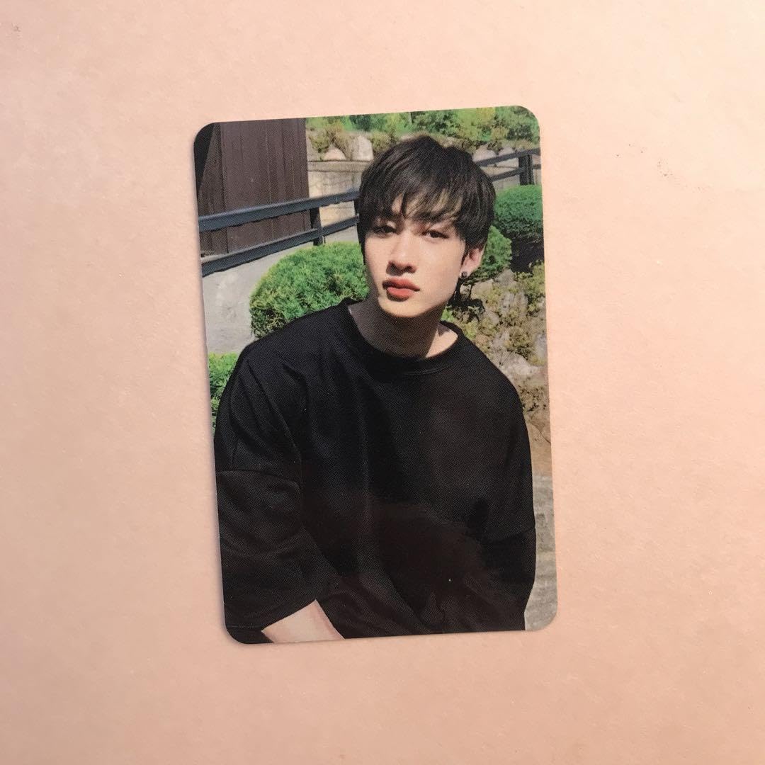 Stray kids GO生 特典 スキズSUBK バンチャン トレカ