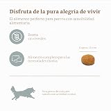 Ver la foto 3